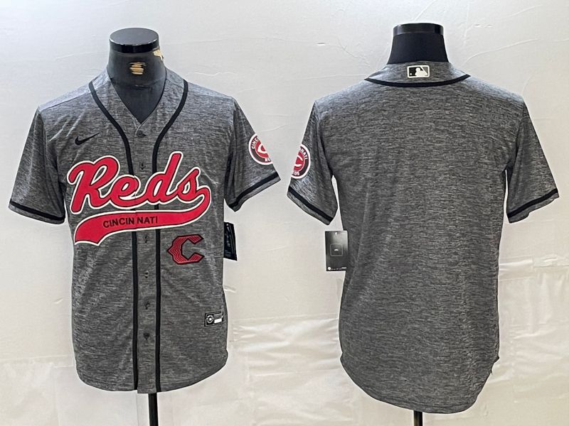 Men Cincinnati Reds Blank Grey Jointly 2024 Nike MLB Jersey style 2->cincinnati reds->MLB Jersey